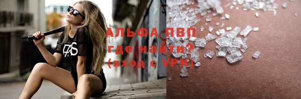 стаф Бородино