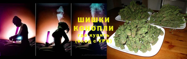 стаф Бородино