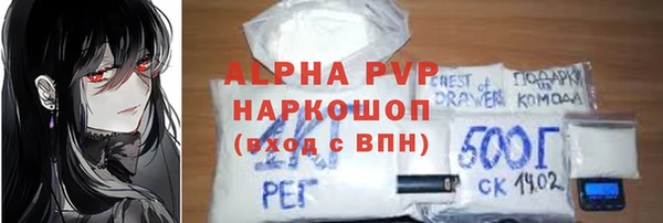 стаф Бородино