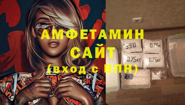 стаф Бородино