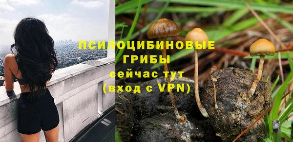 a pvp Бугульма
