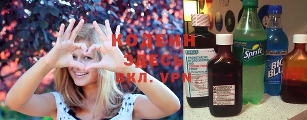 стаф Бородино