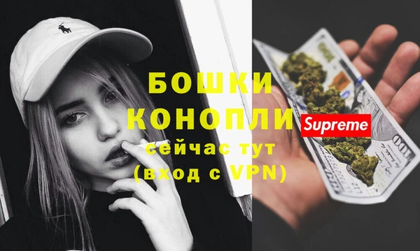стаф Бородино